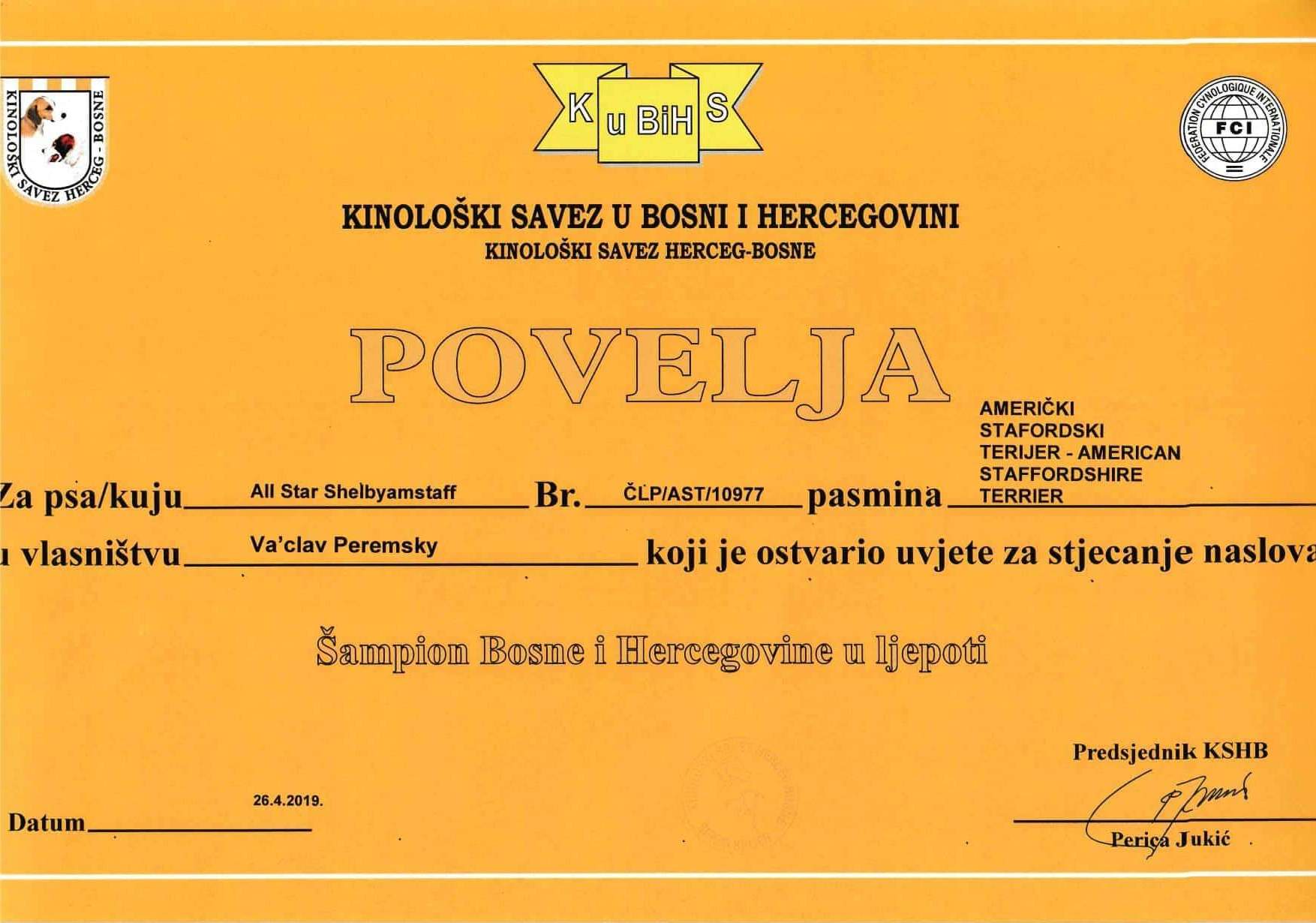 Šampion Bosna & Herzegovina